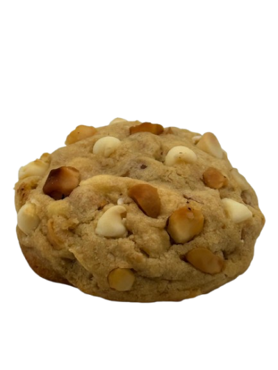 Macadamia - Image 2
